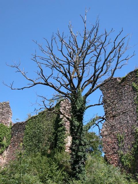 auvergne_032.jpg