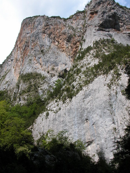cathares_19-08-2005_13-59-09_w.jpg
