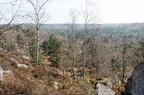 Forêt de Fontainebleau