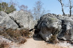 Forêt de Fontainebleau