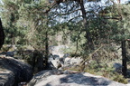 Forêt de Fontainebleau