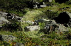 Autriche