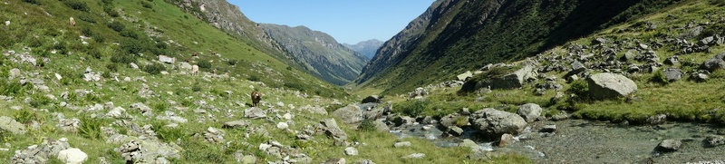 austria_2019-08-30-09-58-56.jpg