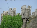 belgique085