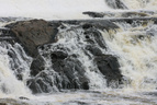 Chute-Montmorency