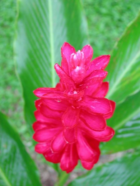 honey_moon_whiler_kaly_021.jpg