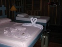 honey moon whiler kaly 068