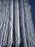 Ski de fond