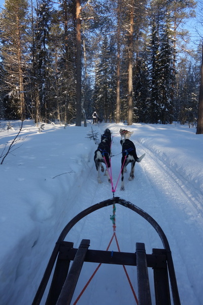 finlande_2017-03-04_10-22-13.jpg