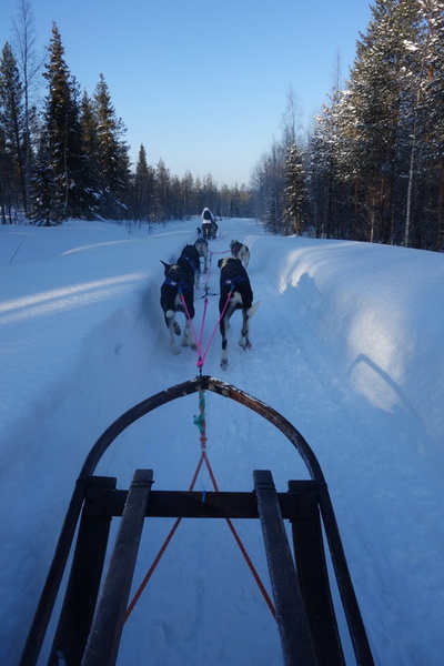 finlande_2017-03-04_10-23-33.jpg