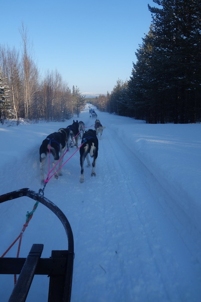 finlande_2017-03-04_10-26-44.jpg