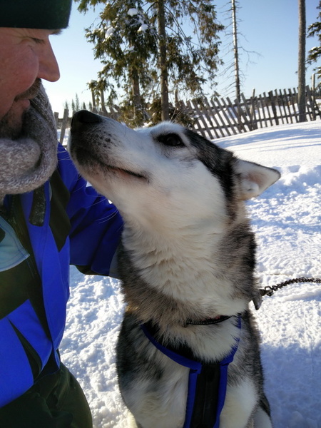 finlande_2017-03-04_10-43-46.jpg