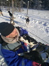 Chiens de traineaux