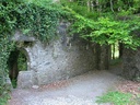 Abbaye de Muckross
