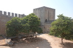 Elvas