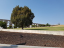 Elvas