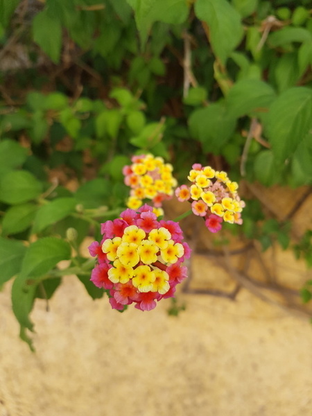portugal_2018-09-01_15-19-41.jpg