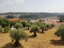 Constância