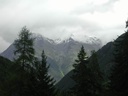 suisse40