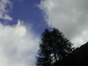 suisse43