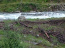 suisse49