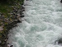 suisse51