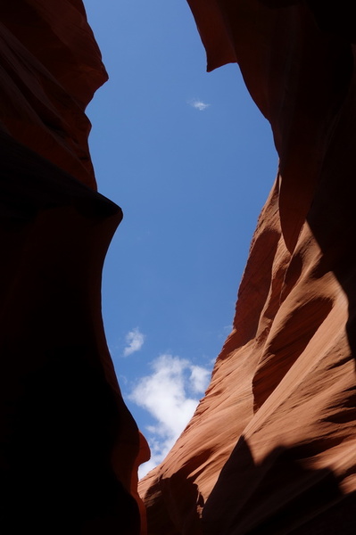 usa-2015-0329.jpg