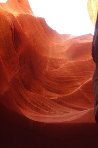 usa-2015-0334.jpg