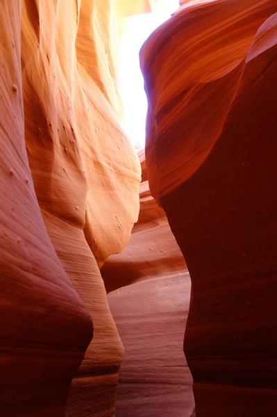 usa-2015-0350.jpg