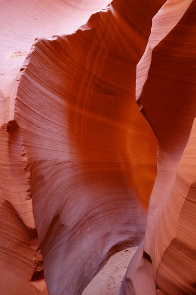 usa-2015-0356.jpg