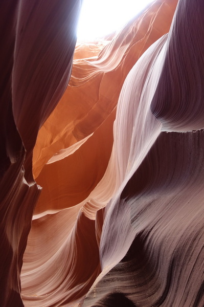 usa-2015-0383.jpg