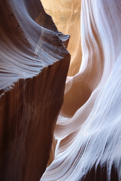 usa-2015-0386.jpg