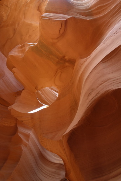 usa-2015-0388.jpg