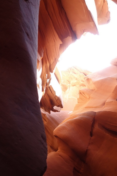 usa-2015-0401.jpg