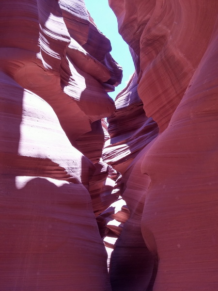 usa-2015-0489.jpg