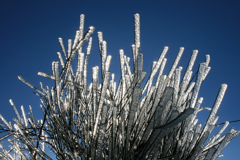lachaux-2010-12-53.jpg