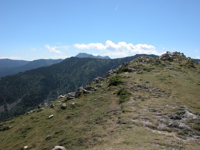 cathares_14-08-2005_13-01-33_w.jpg