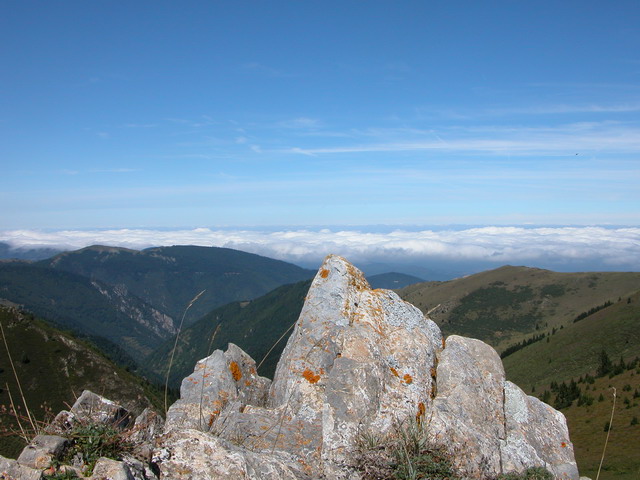 cathares_14-08-2005_13-05-33_w.jpg