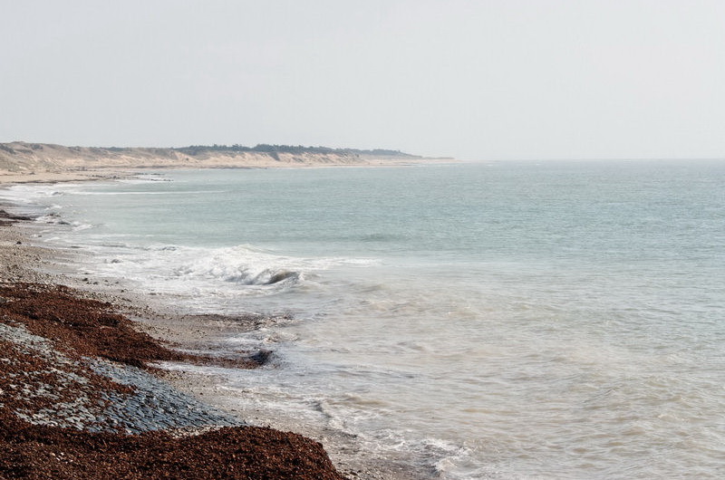 charente_maritime_2012-03-20_15-16-58.jpg