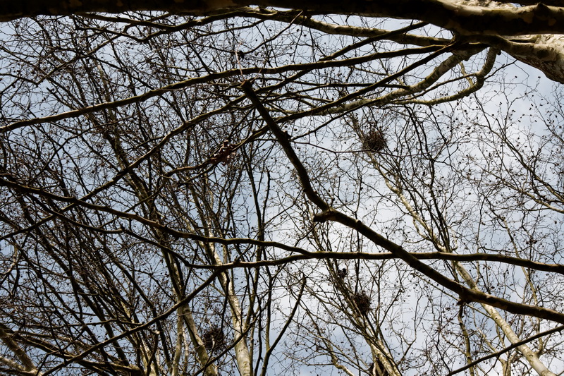 seine-et-marne_2012-03-24_14-55-42.jpg