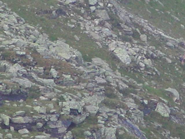 autriche2002montagne020.jpg