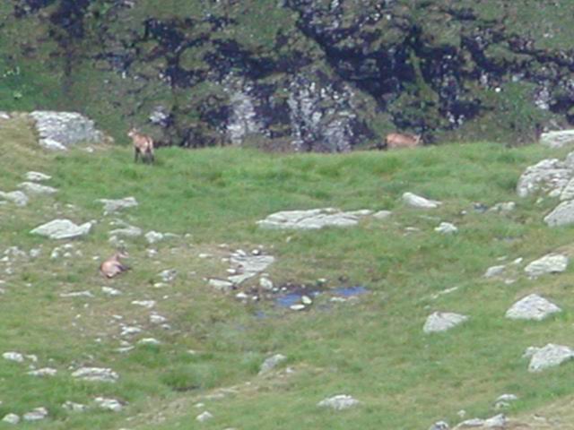 autriche2002montagne027.jpg