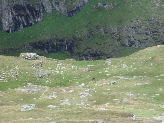 autriche2002montagne035.jpg