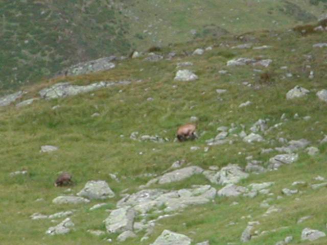 autriche2002montagne037.jpg
