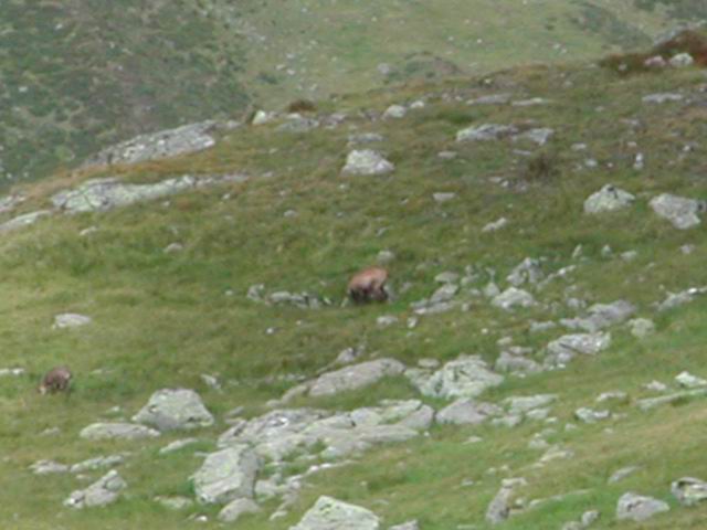 autriche2002montagne038.jpg