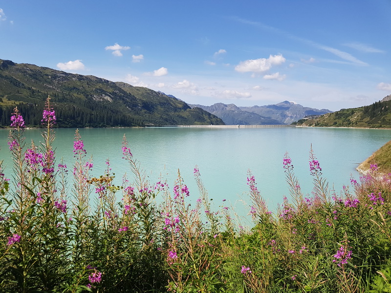 austria_2019-08-27-11-09-33.jpg