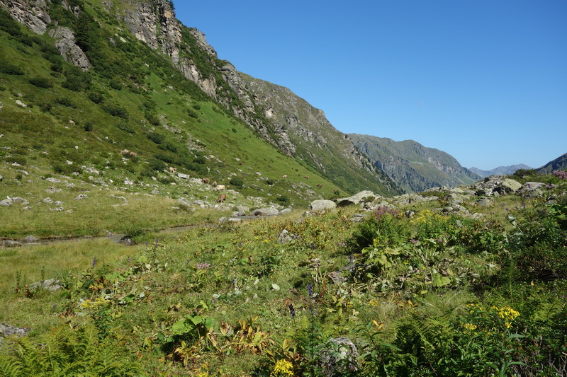 austria_2019-08-30-09-53-44.jpg