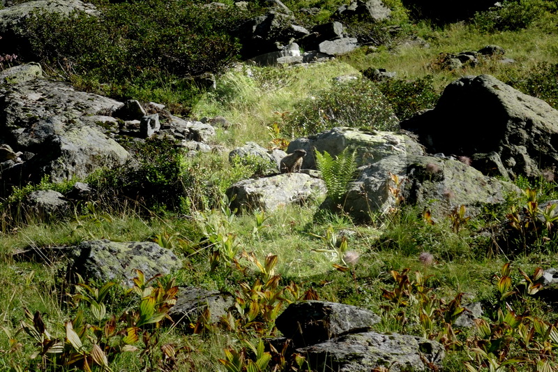 austria_2019-08-30-09-54-31.jpg