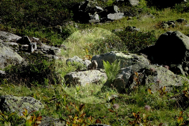 austria_2019-08-30-09-54-54.jpg