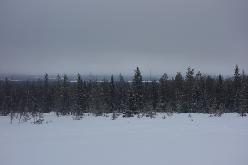 finlande_2017-02-28_13-07-30.jpg